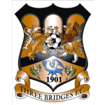 Three Bridges Logo